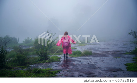 tourist with pink rain coat Stand View the scenery natural beautiful touch fog at Phu Hin Rong Kla 65782019