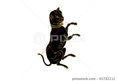 88 constellation Black Canis 88 constellation Black Canis 65782212