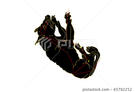 88星座黑熊 88星座黑熊 65782252