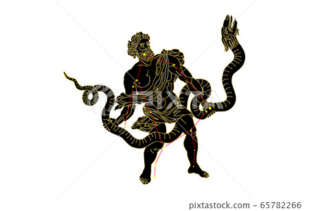 88 constellation Black Ophiuchus 88 constellation Black Ophiuchus 65782266