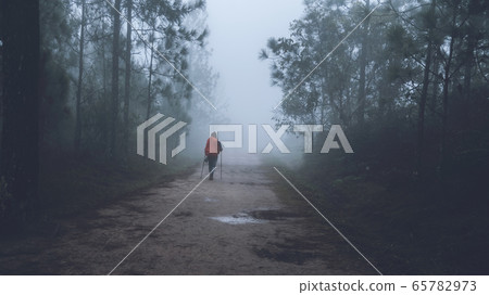Freedom man traveler nature. Travel relax, Backpack walk in the forest Freedom man traveler nature. Travel relax, Backpack walk in the forest 65782973