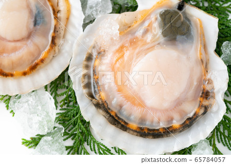 Scallop with shell Scallop with shell 65784057