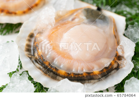 Scallop with shell 65784064