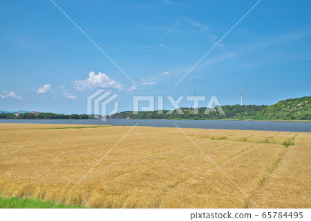 大麥場在湖邊 大麥場在湖邊 65784495