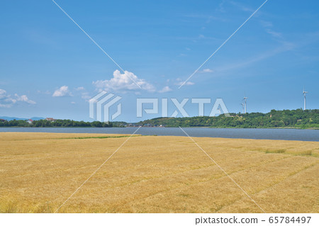 大麥場在湖邊 大麥場在湖邊 65784497