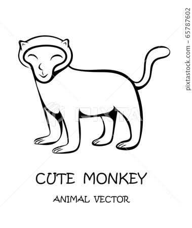 Vector illustration cartoon on a white background of a cute monkey. 65787602