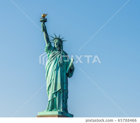 Statue of Liberty in New York Statue of Liberty in New York 65788466
