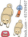 Hot Shiba Inu set 65789407