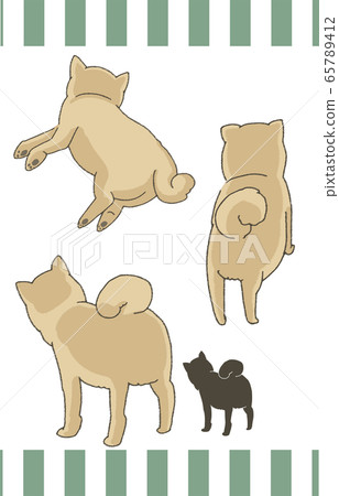 Shiba Inu Shiba Inu 65789412