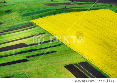 View on the field from the air. Agricultural landscape at the summer time. 65791155