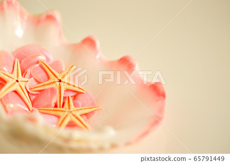 在夏天的海灘上吸引了運氣的櫻井的回憶 65791449