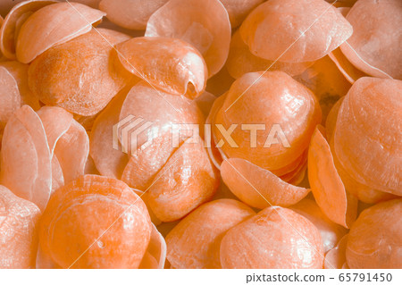 幸運的小粉紅或橙色貝類 65791450