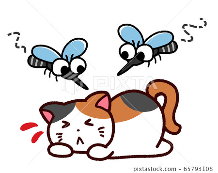 Mosquito cat gathering on pets 65793108