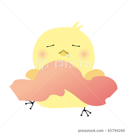 Chick taking a nap 65794260