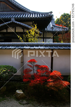 京都瑞信院的秋葉 65795246