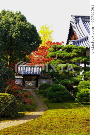 Autumn leaves of Kyoto Zuishin-in 65795562