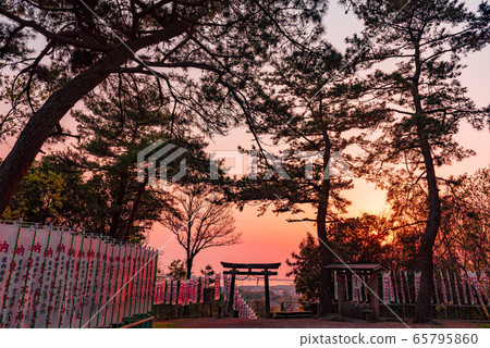 Evening view of Tarumizu Motomiya Shrine 65795860