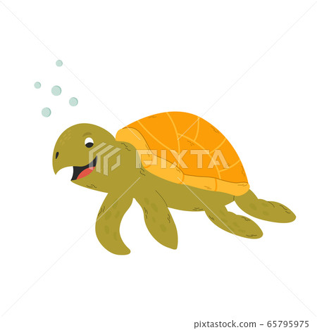 Happy smiling turtle isolated on white backgroud 65795975