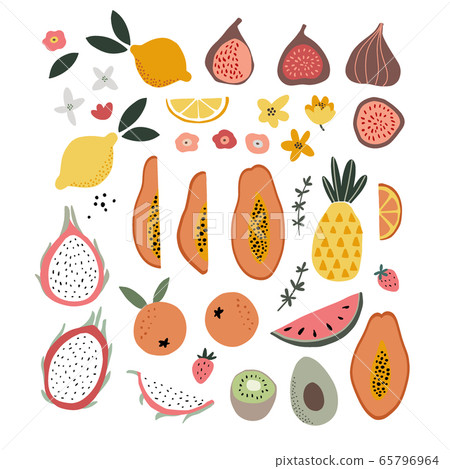 Set of abstract hand drawn shapes, flowers, tropical exotic fruit and abstract shapes. Modern artistic, minimalist design. Decorative isolated vector illustrations. Papaya, figs, lemons, dragon fruit. Set of abstract hand drawn shapes, flowers, tropical exotic fruit and abstract shapes. Modern artistic, minimalist design. Decorative isolated vector illustrations. Papaya, figs, lemons, dragon fruit. 65796964