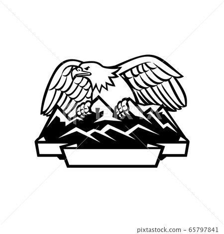 Eagle Perching on Mountain Range Black and white 65797841