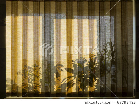 Shadows of flowers on blind curtains at warm sunset light background Shadows of flowers on blind curtains at warm sunset light background 65798482