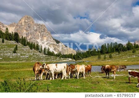 Autumn landscape in Val di Fanes, Dolomites, 65799157