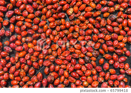 Dried rose hips on a background. Dog rose hips are drying. Dried rose hips on a background. Dog rose hips are drying. 65799418