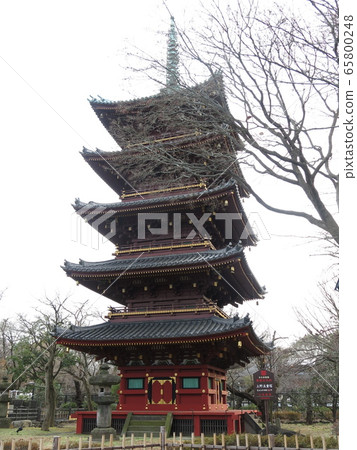 Former Kanei-ji five-storied pagoda at Ueno Zoo Former Kanei-ji five-storied pagoda at Ueno Zoo 65800248