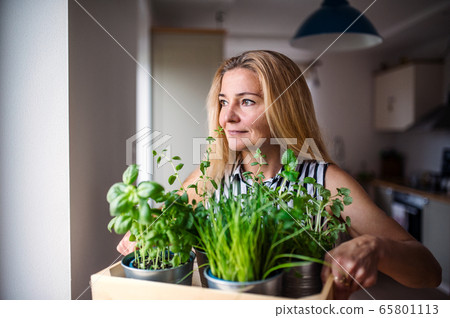 Portrait of woman indoors at home, carrying box with herbs. 65801113