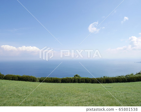 海和天空遍布草地 65801538
