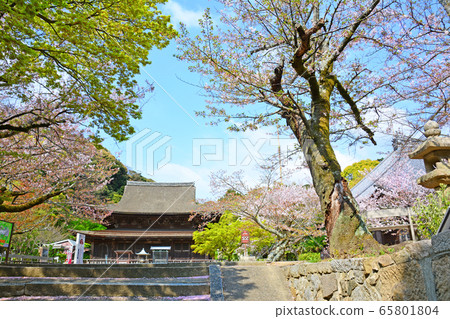 Kōsanji Kōsanji 65801804