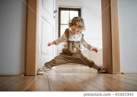 Small toddler girl standing indoors at home, having fun. 65801942
