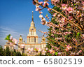 The main building of Moscow State University on a background of blooming cherry The main building of Moscow State University on a background of blooming cherry 65802519