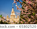 The main building of Moscow State University on a background of blooming cherry The main building of Moscow State University on a background of blooming cherry 65802520