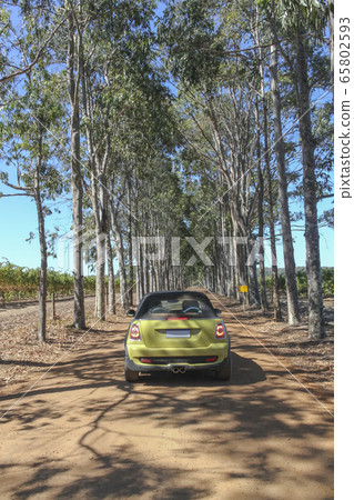 Driving through the vineyards in Margaret River 65802593
