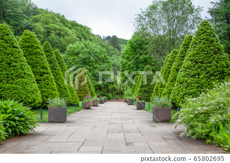 Well-organized European attention garden 65802695