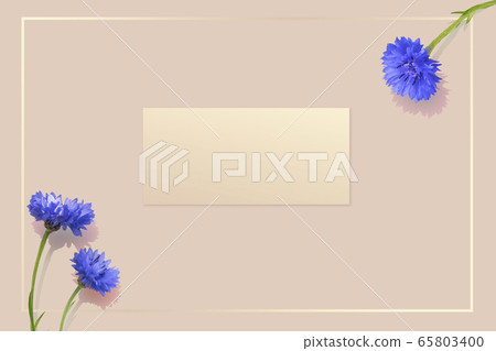 Card image Card image 65803400