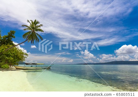 Island coast, tropical beach with coconut palm, Island coast, tropical beach with coconut palm, 65803511