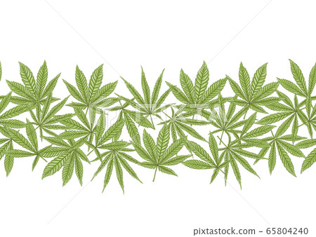 Cannabis leaves seamless pattern, background. 65804240