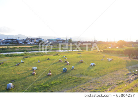 查看從日落的河岸 65804257