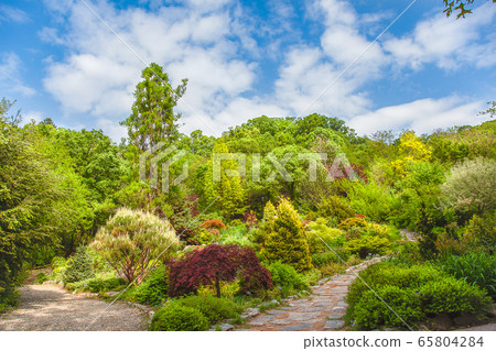 歐洲花園與藍藍的天空和各種樹木 歐洲花園與藍藍的天空和各種樹木 65804284