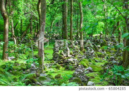神秘的青苔花園與石塔和青苔 神秘的青苔花園與石塔和青苔 65804285