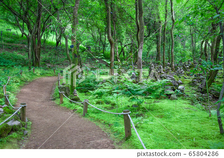 苔蘚花園與石塔和人行道 苔蘚花園與石塔和人行道 65804286