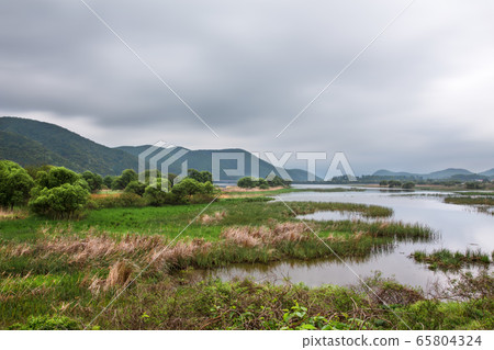 Cloudy wetland ecological park scenery 65804324