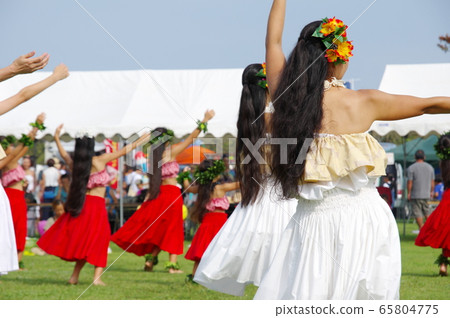 草裙舞 65804775