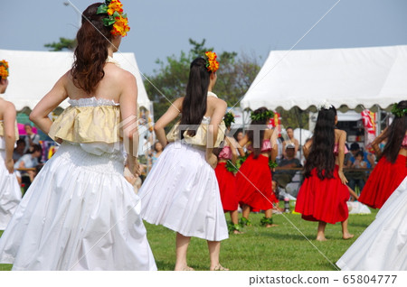 hula 65804777