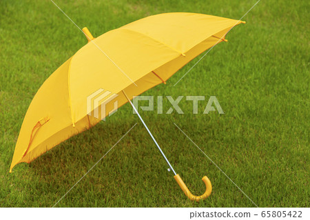 雨傘，兒童傘，草坪 65805422