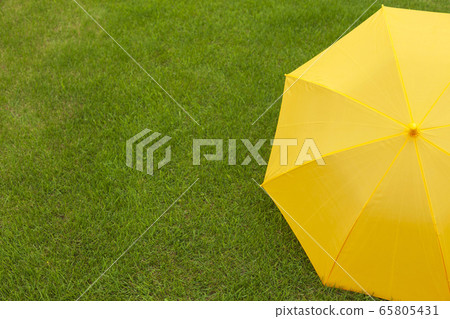 雨傘,兒童傘,草坪 雨傘,兒童傘,草坪 65805431