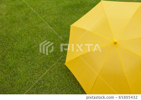 雨傘，兒童傘，草坪 65805432