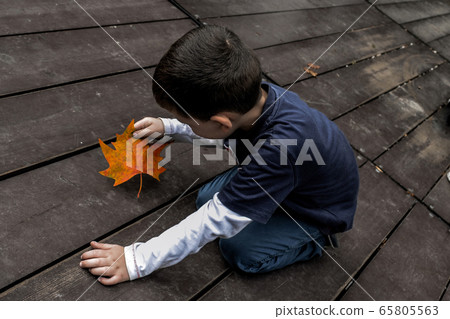Little boy and a maple leaf on a wooden floor 65805563